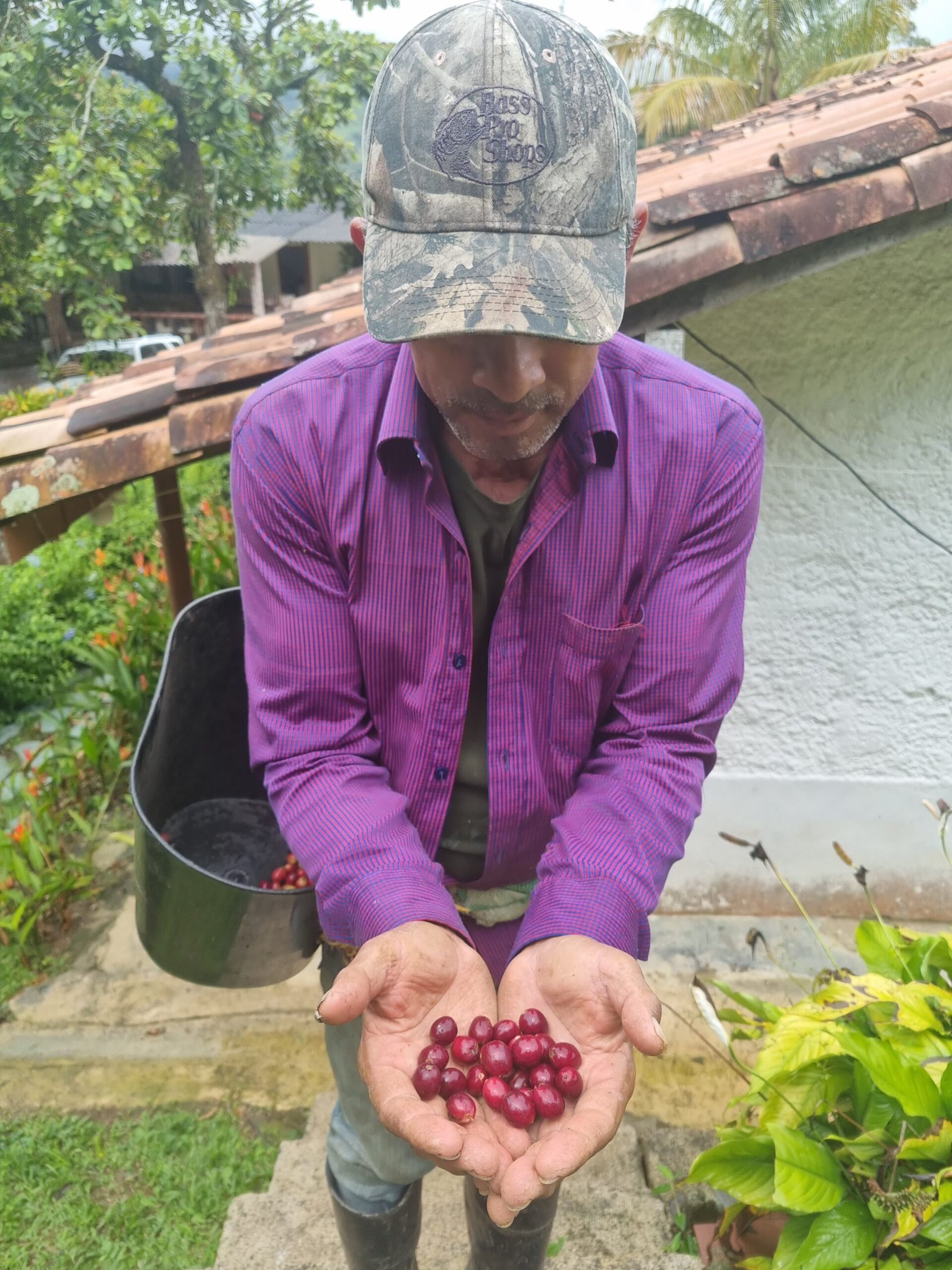 WhatsApp Image 2026-02-03 at 19.42